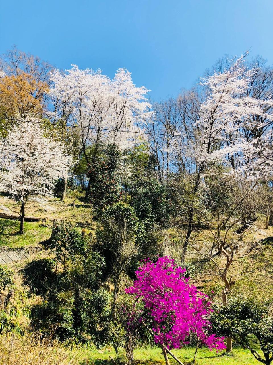Ryutakuzenji 宿坊 다카사키 외부 사진
