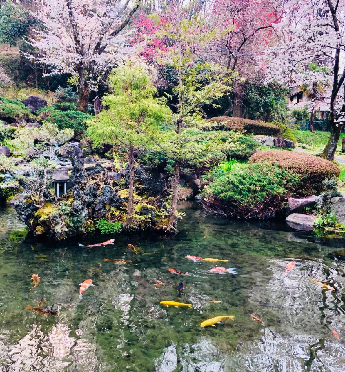 Ryutakuzenji 宿坊 다카사키 외부 사진